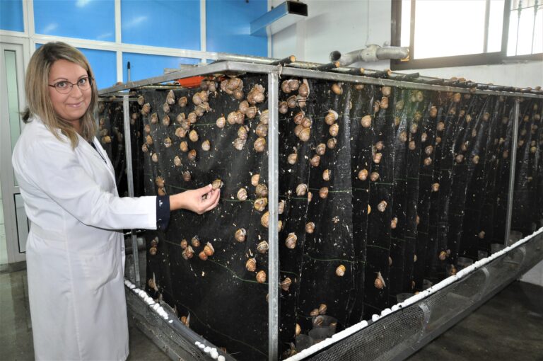 Andalusiens hvide perler