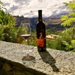 Natlig druehøst på Descalzos Viejos – muligvis Spaniens mest ejendommelige vingård