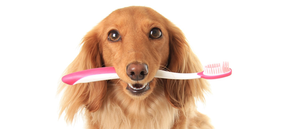 0195968c1aafa199525c328e8c7bb720