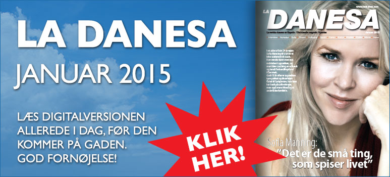 01 2015 LD Digital-version Januar-2015 Banner-773x350