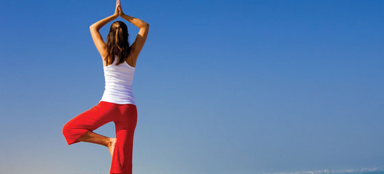 0e62cc6a0207a7014f5da88dfd35a9cd