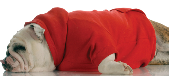 1356d865c9b481d1f92264d416dff6da