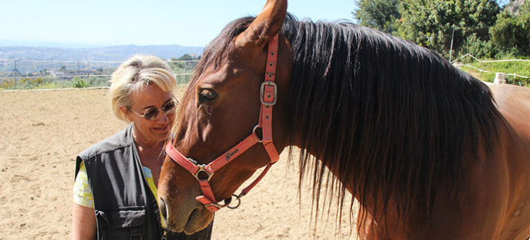 136de1e84dd0d9eb1123d88b038f8c50