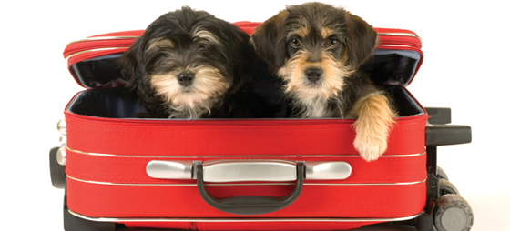 1653d405bf9d72176b1f7ab33af4357a