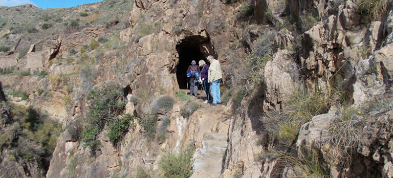 17a95ff4fbc93bb49e34fa9839580bf1