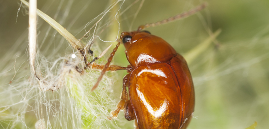 2ac65b239173424382ab299da45a2428