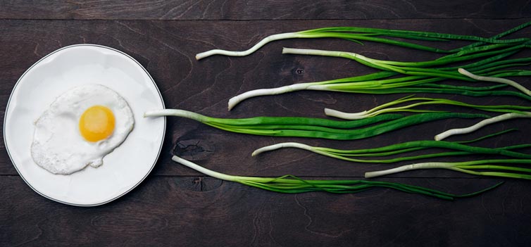 2d44ea06fbcb022ff06171df091c1d82