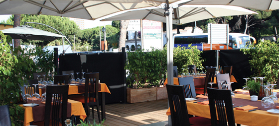 2d4bf70f13f9026a56c52dddb6d12701