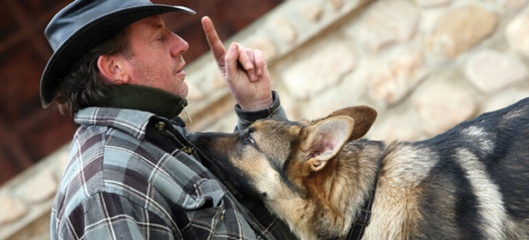 3171868c8f22096fbeefa240af8ff341