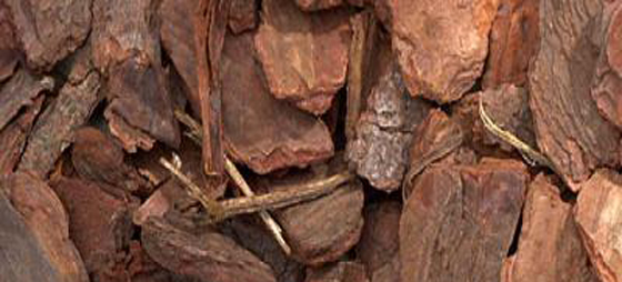 397900864c58ae8084769816278be763