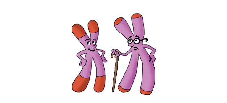 3b9652c706df65c9ae96c2ce03ede590