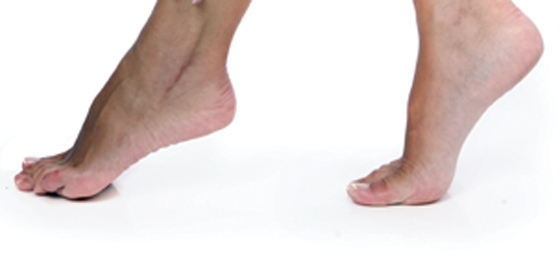 430709929012d40012c52920513e647b