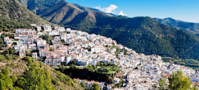 4ad6ad9a892af06d9cb91fbbf401b62a