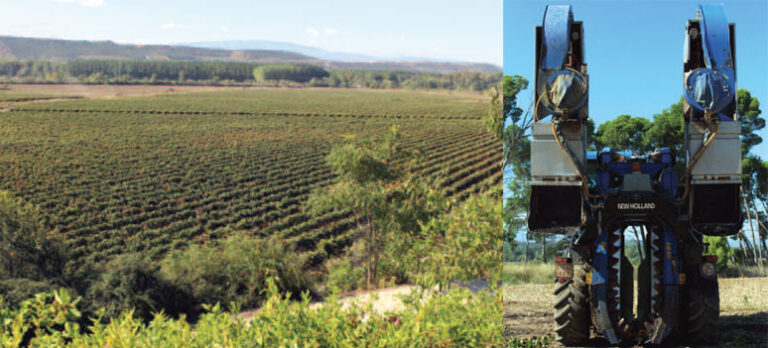 54436181819239a6f00a6f303387d5a5