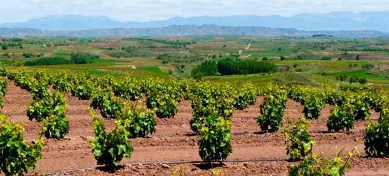 592a9326607506b8d12fa6ab637a27a9