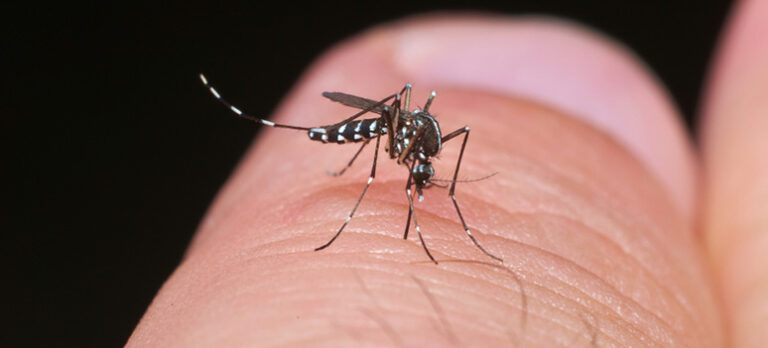 5d0c076adcb6b4cbbc4c51ab6a1212eb