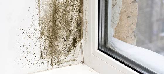 6204b6c02de57965e5ca4a4f3efe7f9a