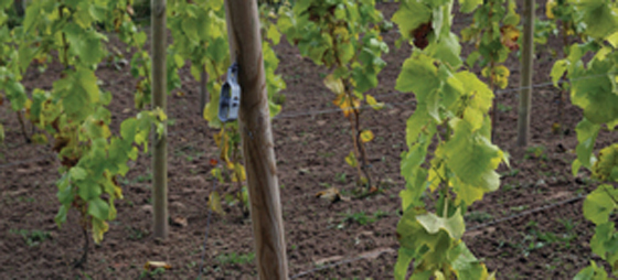 683fce92b691f9fd097283dd4cab1143