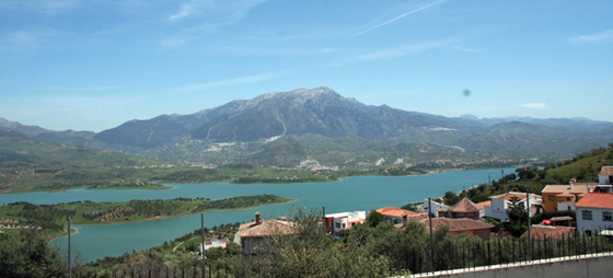 6886526cd8dcfb06316d224f12317152