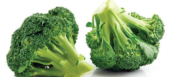 68b0293633a2d0dbde884a5c3d99474d