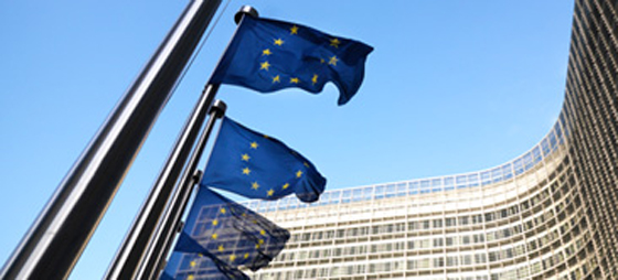 6dafcd65451062bd3a5bfbfee03767dc