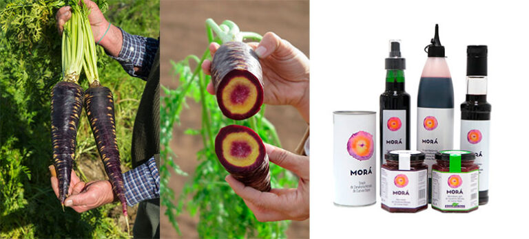 Zanahoria morá - lilla gulerødder (en arv fra Al-Ándalus)