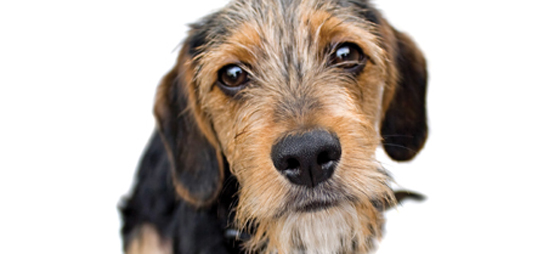 7f605e89e2150d5dc43dc9c87ec2d364