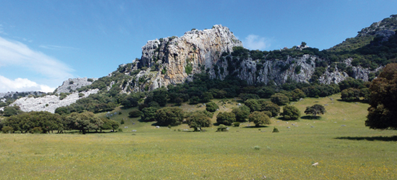 7f8a768adea9082ca013bb8c4cb34821