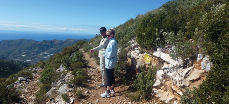 81c8d79b57ea5b06d9f07658059989fe