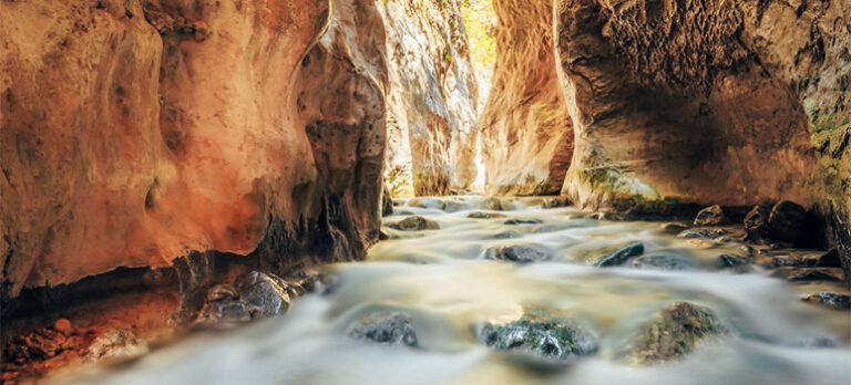 859ca65dcfdf7d4341d8a8ca7afff8f9