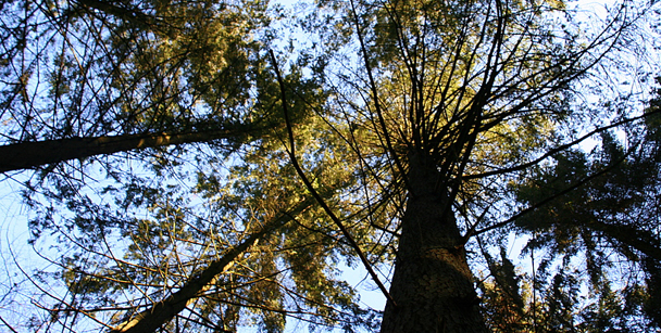 8af125565ed3e6cb12f8d7243cd9384f