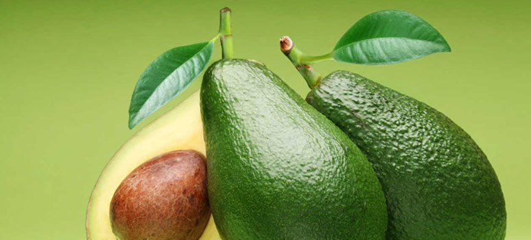 Avogato