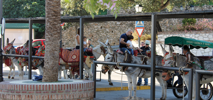 Foto-æselartikel-LD-Dec-2015