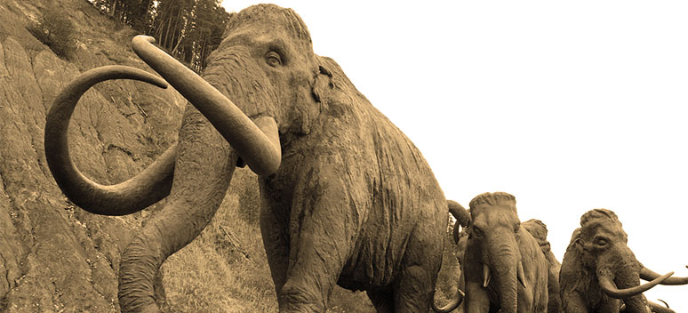 Mammut ruten og andre uddøde dyreruter