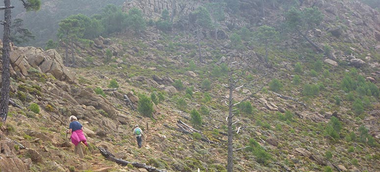 Sierra Bermeja