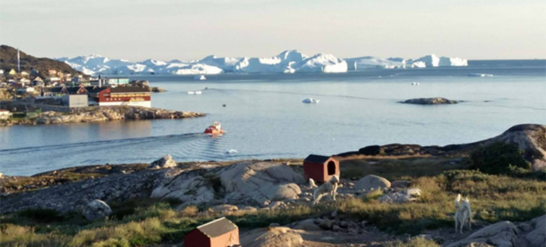 Slædehunde star bundet udenfor deres røde hundehuse i udkanten af alle byer pa Grønland