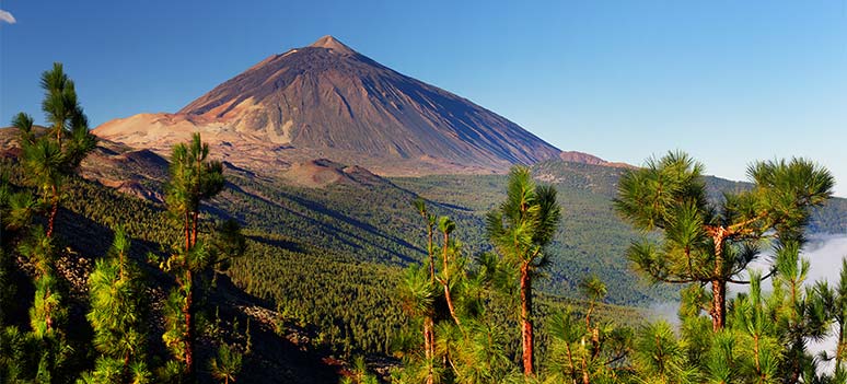 Teide