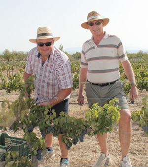 Vin med hjerte og sjæl2