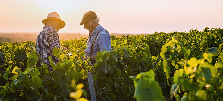 b341ae32865b2a4f27b5296ae7a590a3