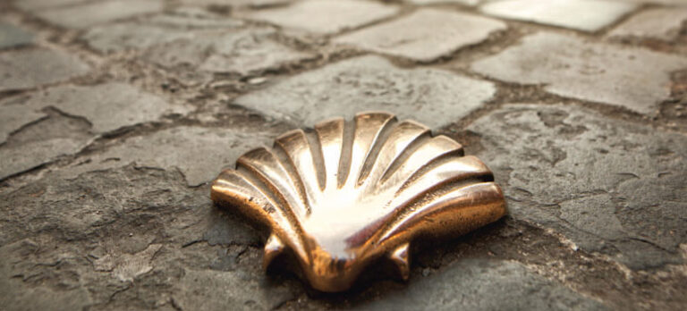 bb26ec266a72d97c32b4a7b49a88656e