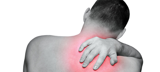 c0879b00f9f2c27a46dd1b1b01640046