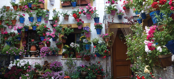 c8696ae18f6254714ec4b9a29d991c1a