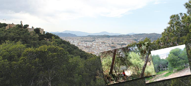 coolsommer gibralfaro