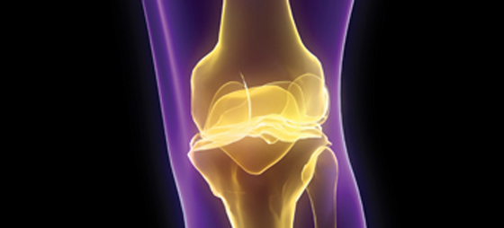 d0bf34139000617b0537af8f3f6b2286