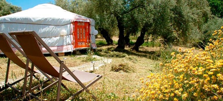 d1a55cdb2a7b07dbd33ebfd94792de11