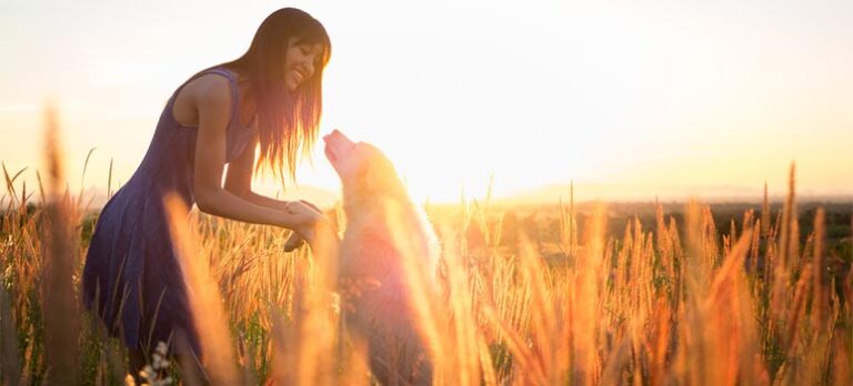 d1e2ee01ec92814e2bcb8d357dca1773