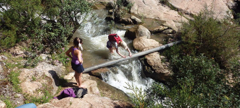 d201cc6bd12ceb8780152a27b980d7ad