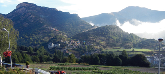 d5b719ddeacc88e0b4c54a5212b75568