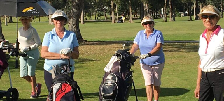 d9fa5fd29638d70824ba20b496b68417