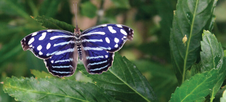 e5cfdc91b6dde71bca9cd7bbe5c36cc7